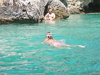  lo squalo e la foca